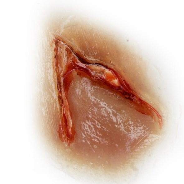 SILICONE MOULD- ANGLE CUT SILICONE MOULD- ANGLE CUT