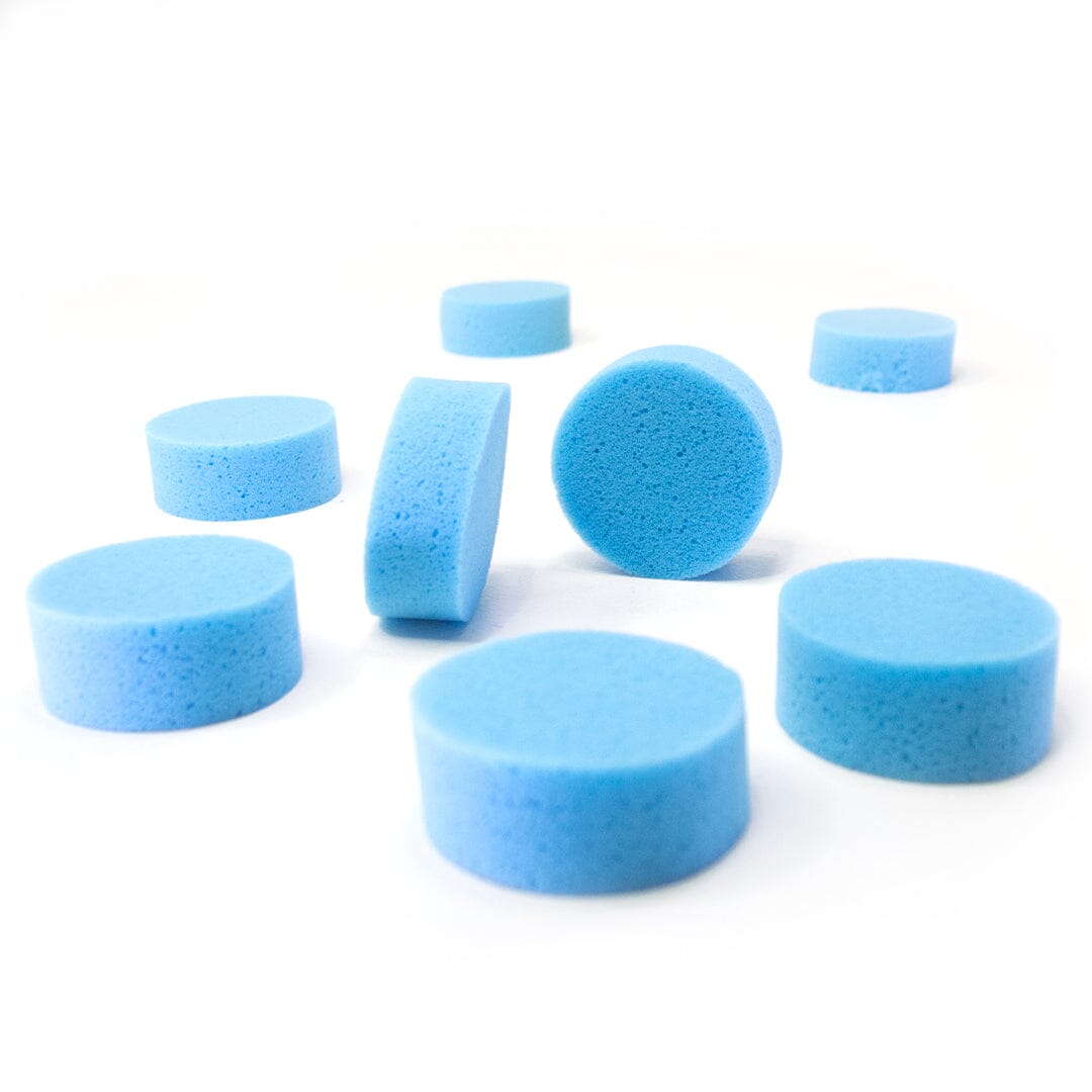 Round Back Sponge Round Sponge 8 Pack- Face Painting sponges, perfect for any design ...