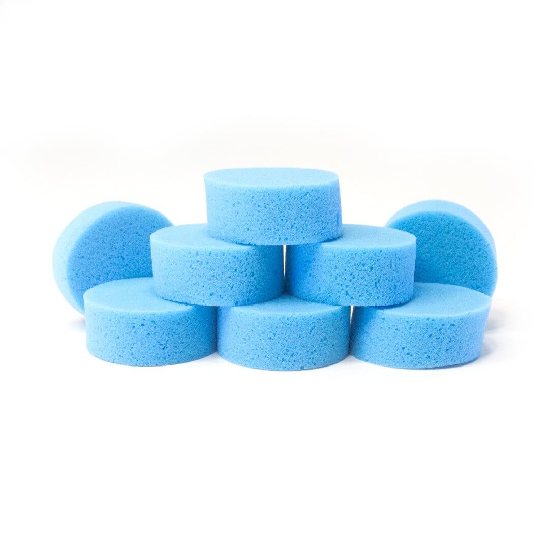Round Back Sponge Round Sponge 8 Pack- Face Painting sponges, perfect for any design ...