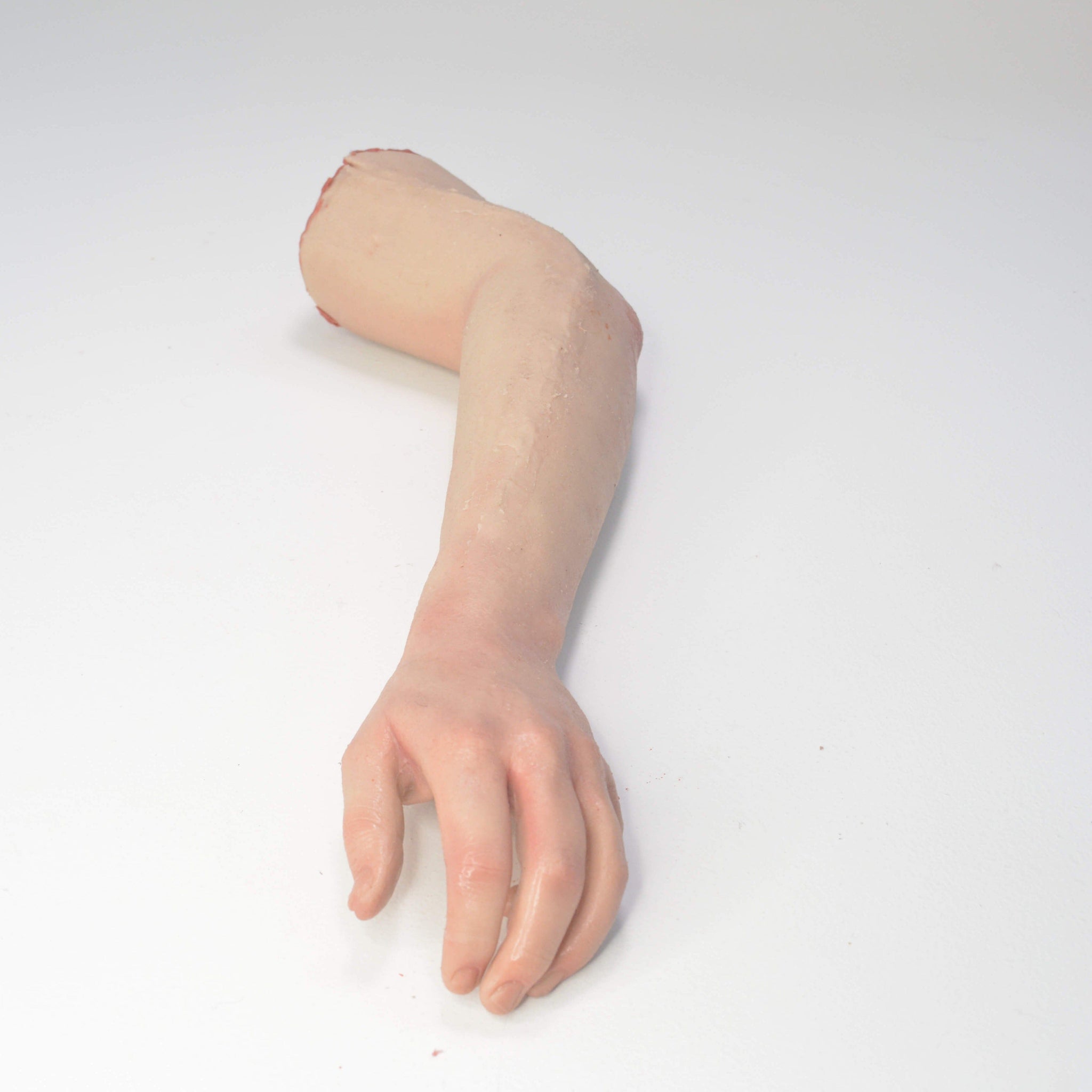 Mini Human Arm Small Adult Arm Prop For Hire - BodyFX